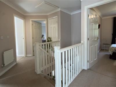 Picture 20